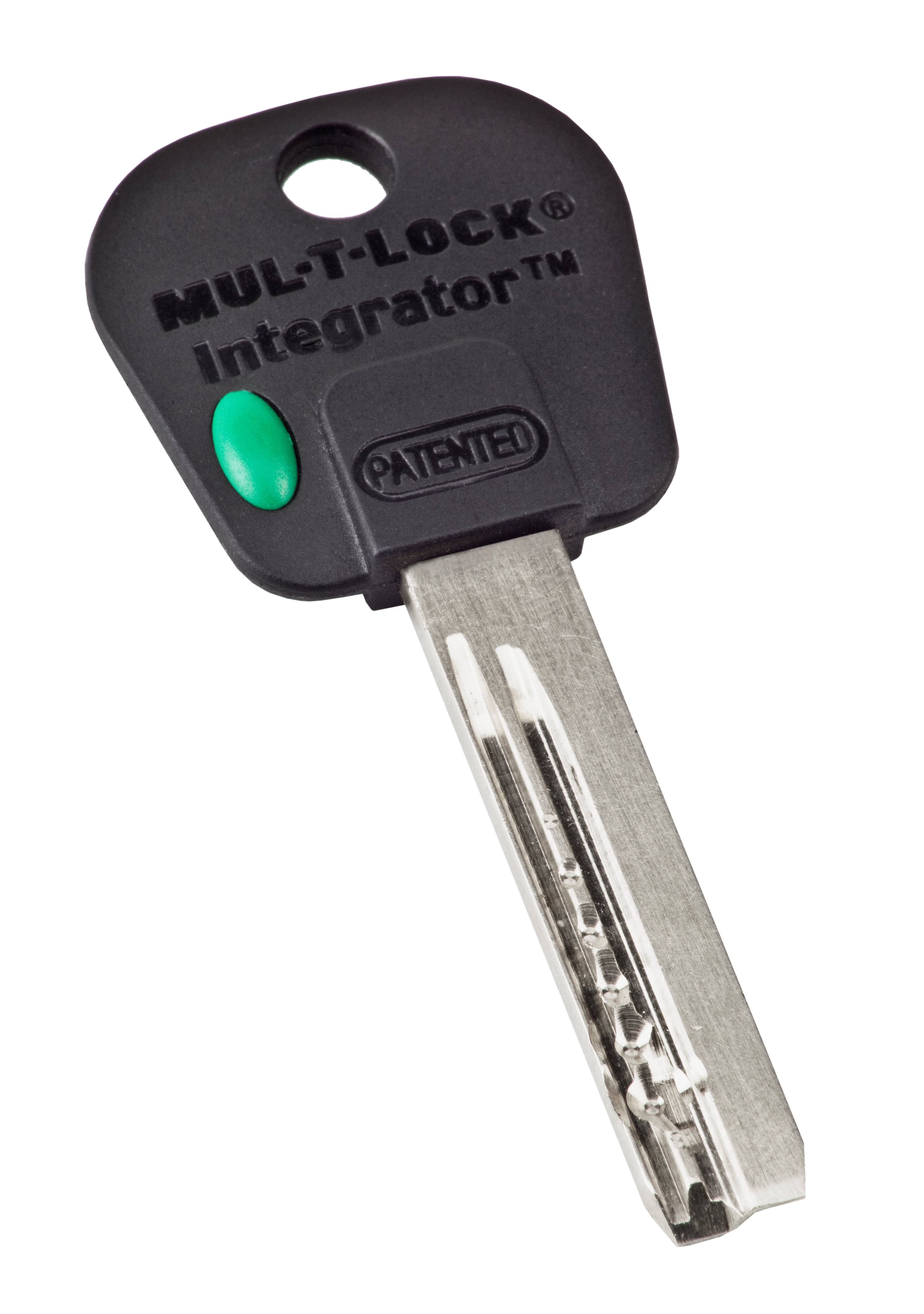 Integrator® Mechanical Key Platforms High Security, padlock